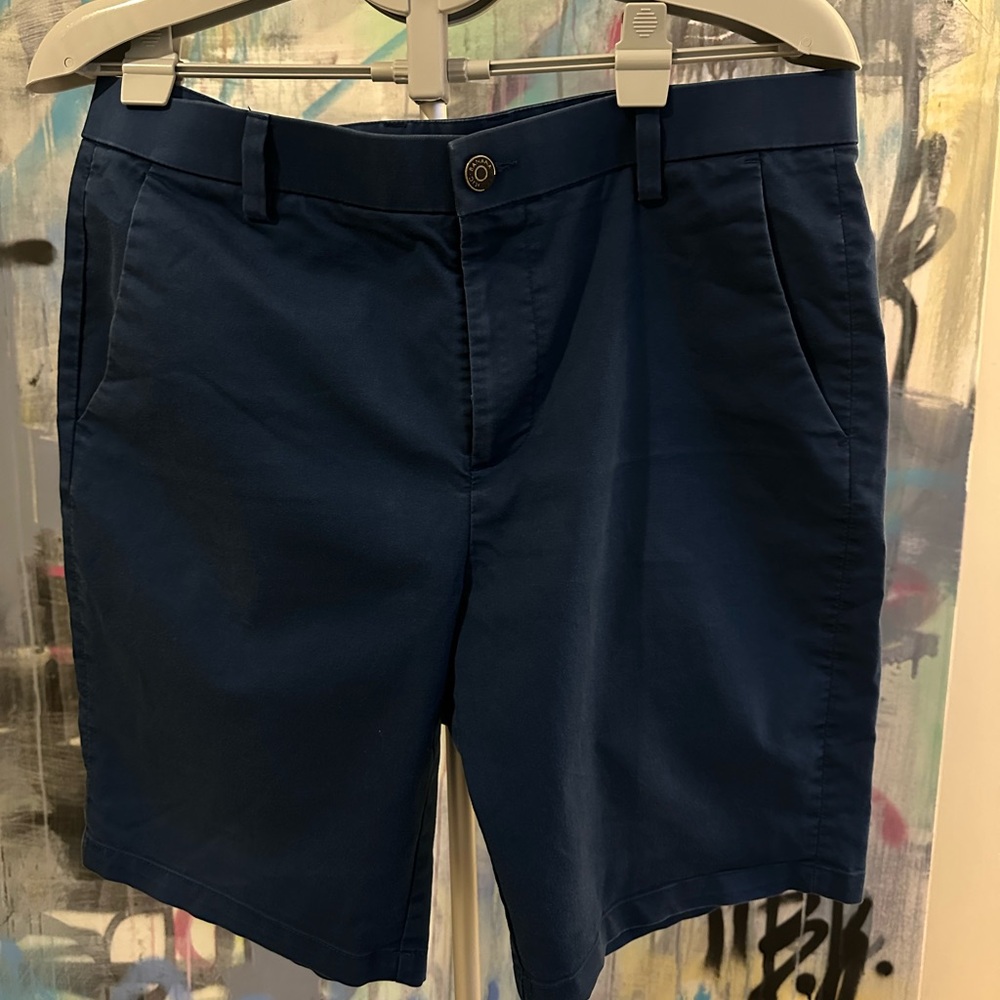Banana Republic Blue Flat Front Shorts